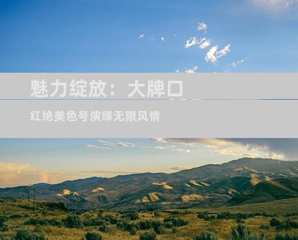 魅力绽放：大牌口红绝美色号演绎无限风情