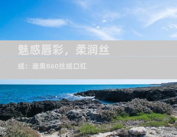 魅惑唇彩，柔润丝绒：迪奥860丝绒口红